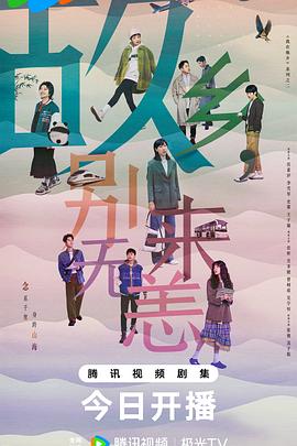 西湖区网站优化外包